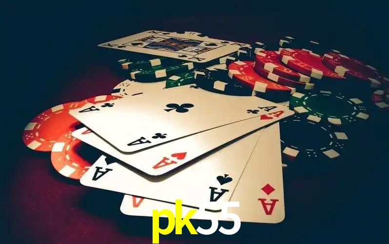 pk55 visual 2