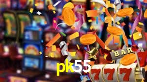 pk55 App Interface