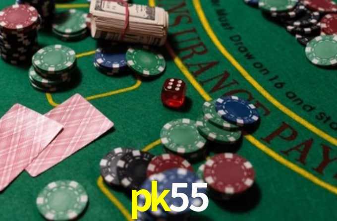 Premium Interface pk55